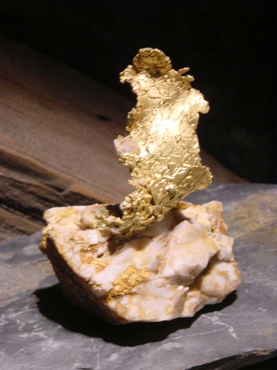 Gold Nugget at the California State Mineral Exhibit in Mariposa